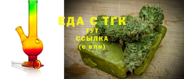 ECSTASY Горняк